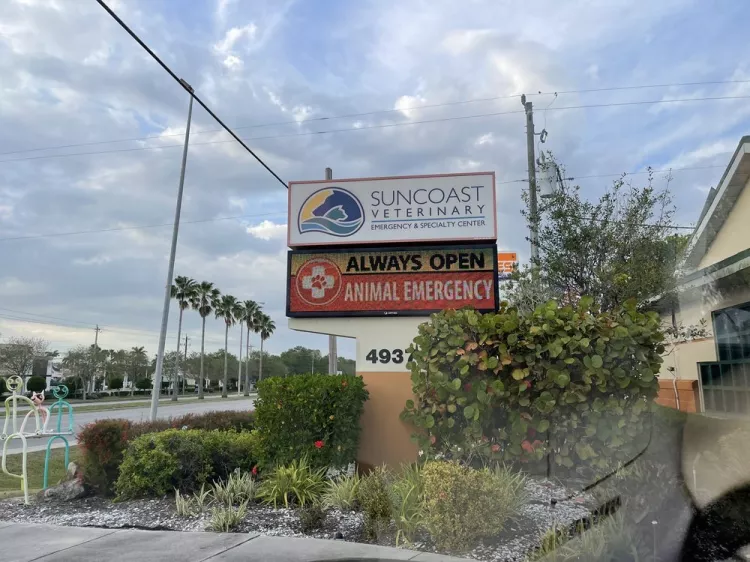 Suncoast Veterinary Emergency & Specialty Center, Florida, Sarasota
